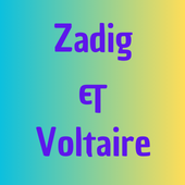 Zadig & Voltaire